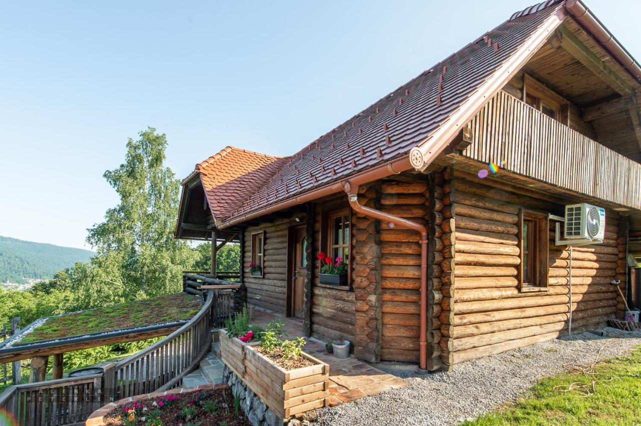 Ferienwohnung Zidan'Ca Rosel Dolenjske Toplice Exterior foto