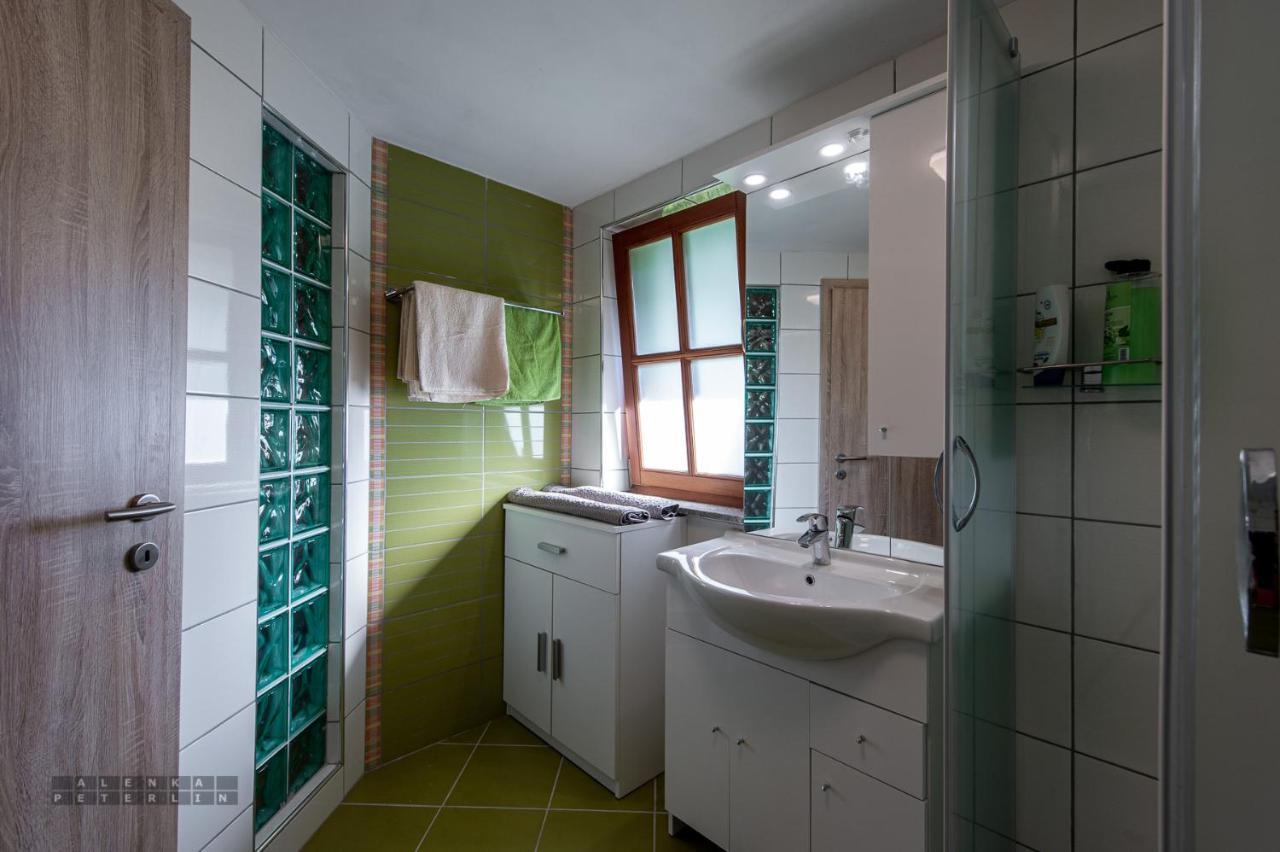 Ferienwohnung Zidan'Ca Rosel Dolenjske Toplice Exterior foto