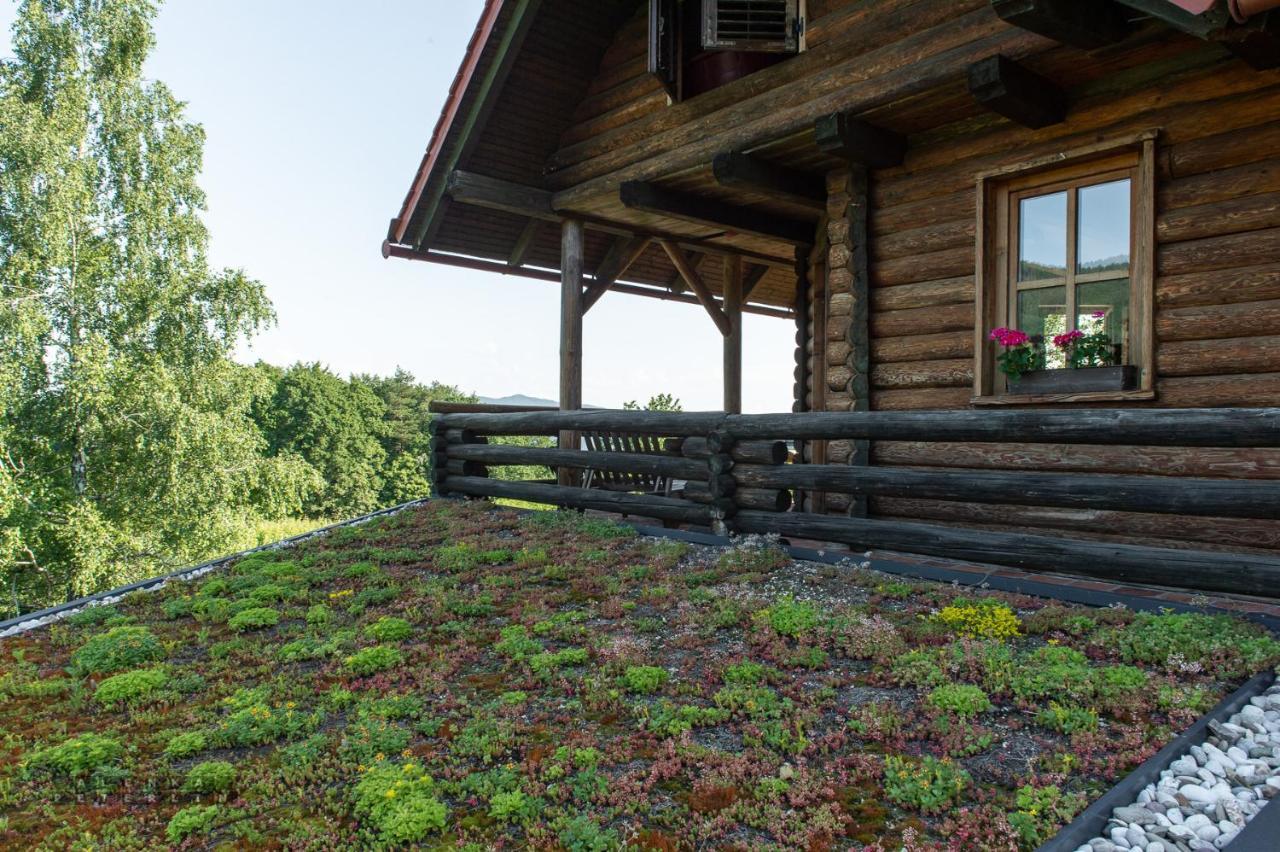 Ferienwohnung Zidan'Ca Rosel Dolenjske Toplice Exterior foto