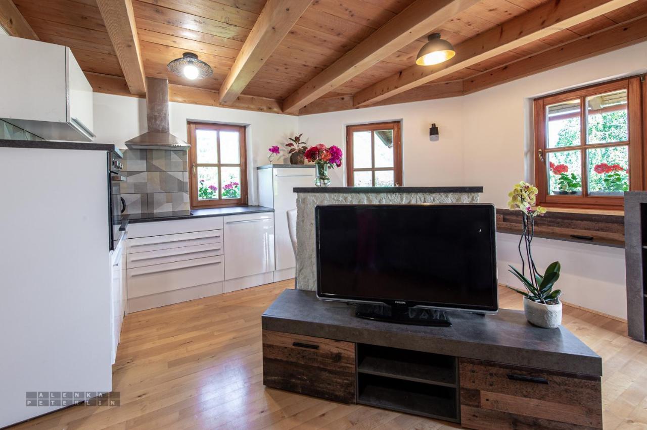 Ferienwohnung Zidan'Ca Rosel Dolenjske Toplice Exterior foto