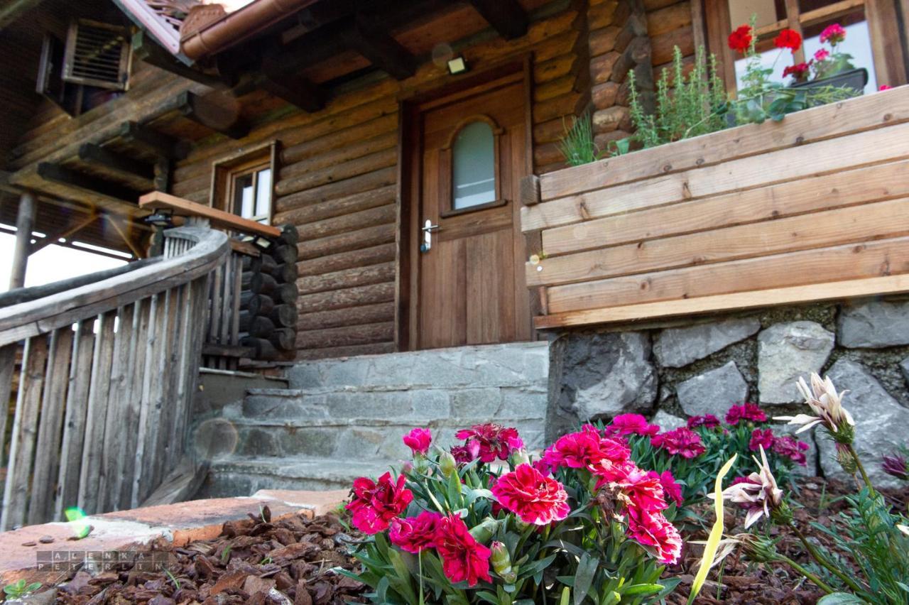 Ferienwohnung Zidan'Ca Rosel Dolenjske Toplice Exterior foto