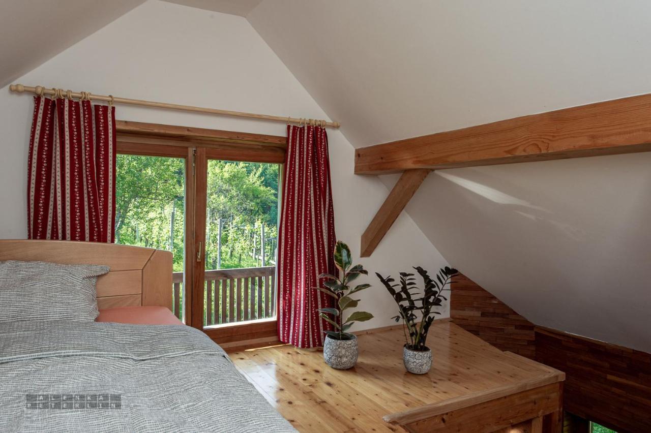 Ferienwohnung Zidan'Ca Rosel Dolenjske Toplice Exterior foto