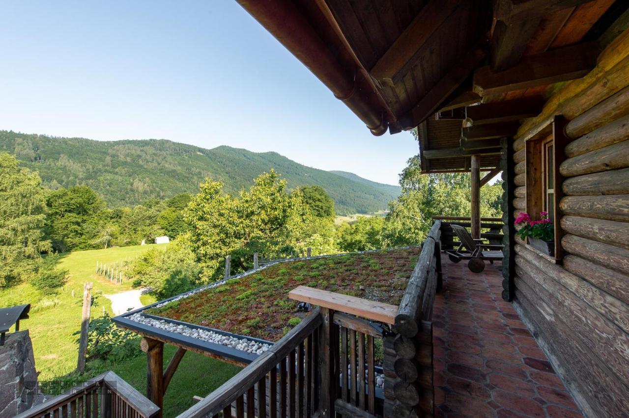 Ferienwohnung Zidan'Ca Rosel Dolenjske Toplice Exterior foto