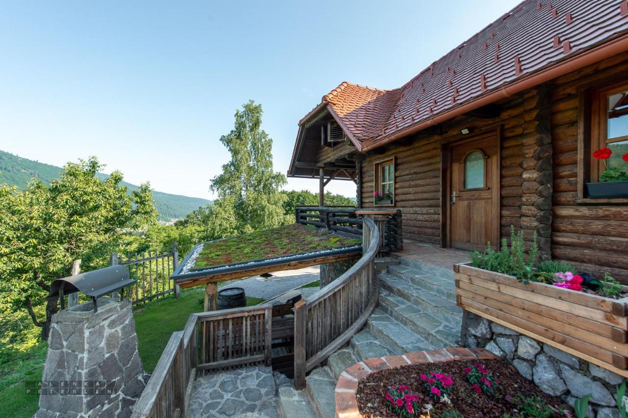 Ferienwohnung Zidan'Ca Rosel Dolenjske Toplice Exterior foto