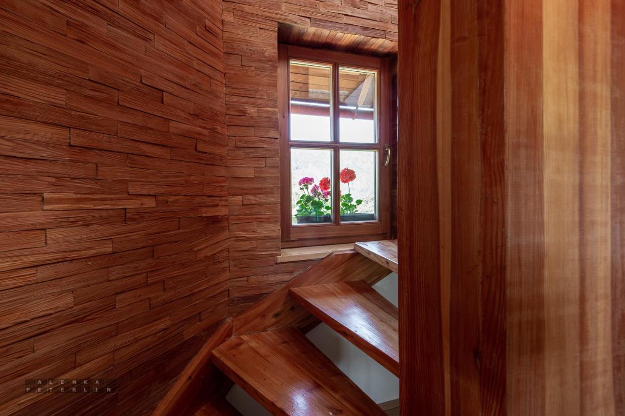 Ferienwohnung Zidan'Ca Rosel Dolenjske Toplice Exterior foto